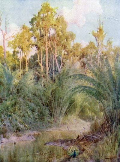 Påfuglens hjem av Robert George Talbot Kelly