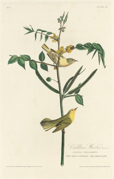 Barnasanger, 1828. av Robert Havell