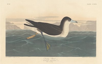 Dusky Petrel, 1836.    1156040   no       norwegian Successfully Translated  Original: Views: The Library, Venice Translat: Views: The Library, Venice 1297597 no norwegian Successfully Translated Original: Demolition of Waterloo Bridge, City of Westminster av Robert Havell