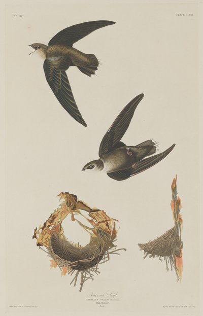 American Swift   1248455   no       norwegian Successfully Translated  Original: Crabs Near the Waters Edge, ca. 1830. Translat: Crabs Near the Water