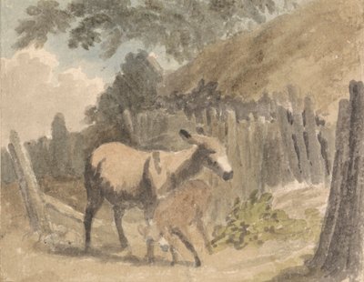 Et esel og føll av Robert Hills