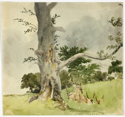  av Robert Hills