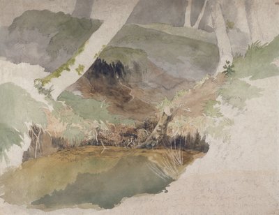 Forest Pool (wc over grafitt på papir) av Robert Hills