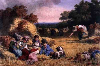 Harvest Field av Robert Hills