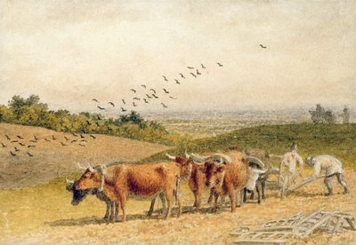 Okser som pløyer et nedlandsfelt av Robert Hills