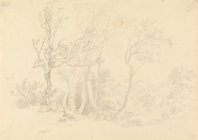 Studie av et Holly Tree av Robert Hills