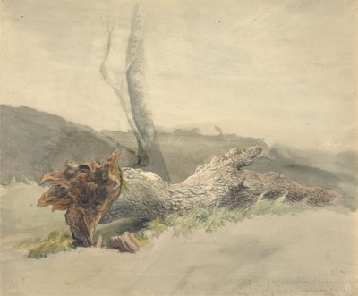 Det falne treet av Robert Hills