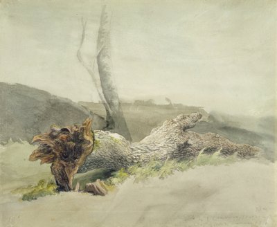 The Fallen Tree, ca. 1804 (wc over grafitt på vevd papir) av Robert Hills