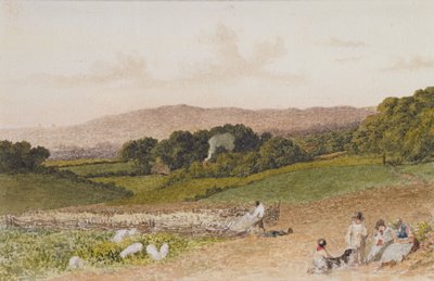 Nepefeltet av Robert Hills