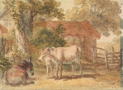 Tre esler av Robert Hills