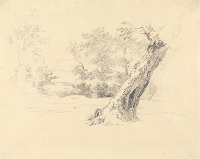 Trestudie av Robert Hills
