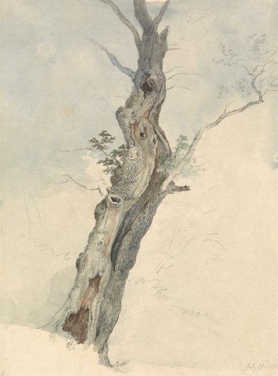 Trestudie av Robert Hills
