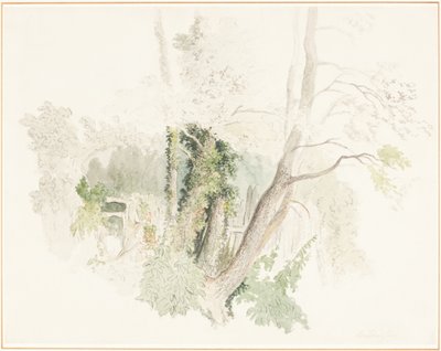  av Robert Hills