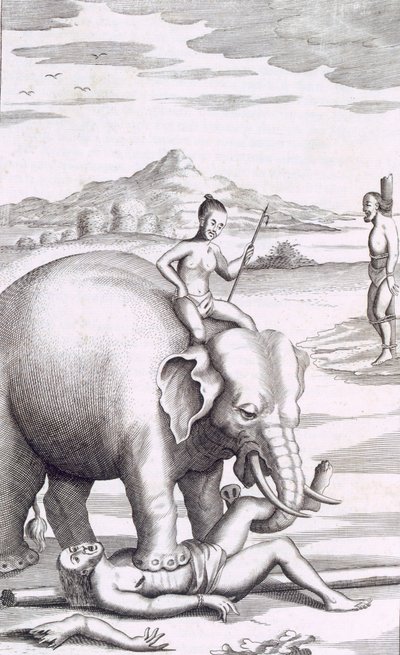 En henrettelse av en elefant, pub. 1681. av Robert Knox