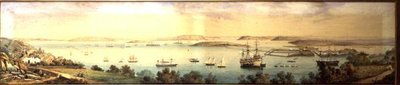 En panoramautsikt over Cove of Cork av Robert L. Stopford