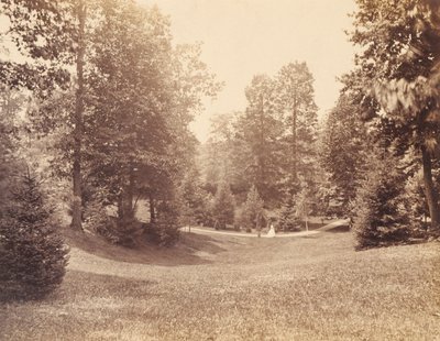  av Robert Newell