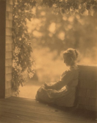 September Sun av Dwight A. Davis av Robert Peckham
