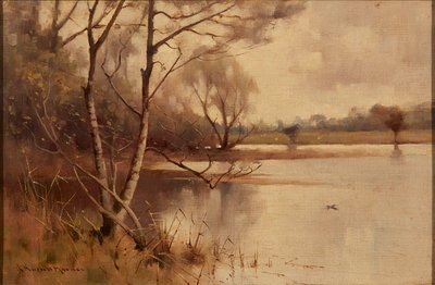 Silver Birch at the Lakeside (olje på lerret) av Robert Russell MacNee