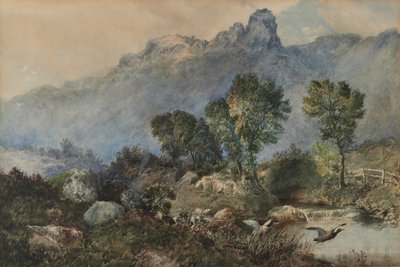 Landskap med stokkand av Robert Scott Temple