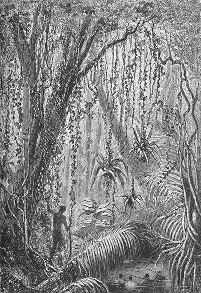 Brasiliansk skog, ca 1885 1890 av Robert Taylor Pritchett