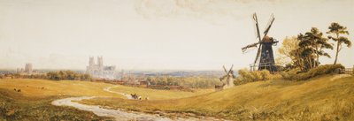 Beverley Minster av Robert Thorne Waite