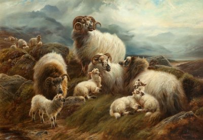 Sauer i et landskap, 1894 av Robert Watson