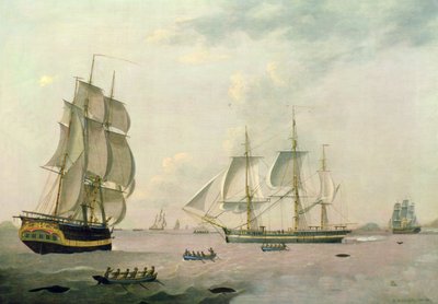 Hvalfangeren "Ocran" av Robert Willoughby