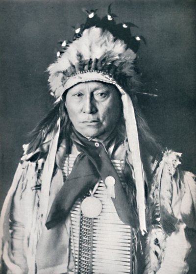En sioux-sjef i krigsmalingen sin, 1912 av Robert Wilson Shufeldt