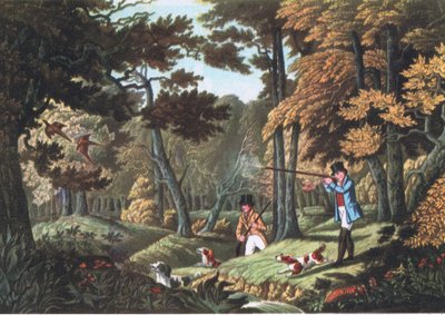 Fasanskyting nær Uxbridge, Nature i Storbritannia utgitt av Collins, 1946 av Robert the Elder Havell