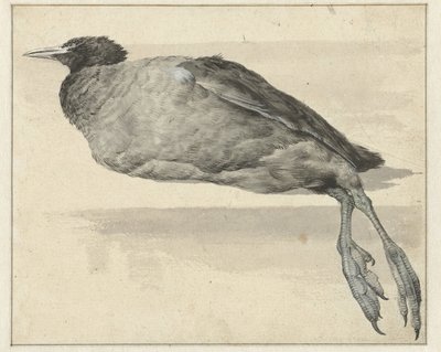 død hønsehøne av Rochus van Veen