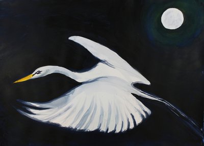  av RodMacIver