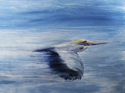  av RodMacIver