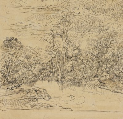 Bank of a Pond av Rodolphe Bresdin