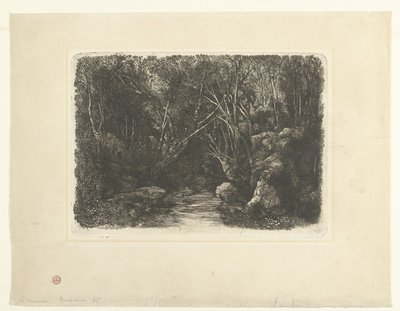 Skoglandskap med bekk og overhengende trær Le Ruisseau sous bois av Rodolphe Bresdin