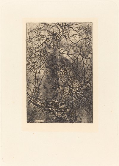 Grener av Rodolphe Bresdin