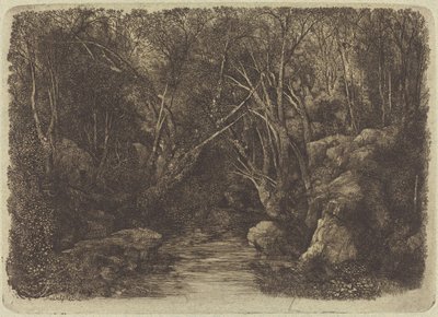 Bekken i skogen av Rodolphe Bresdin