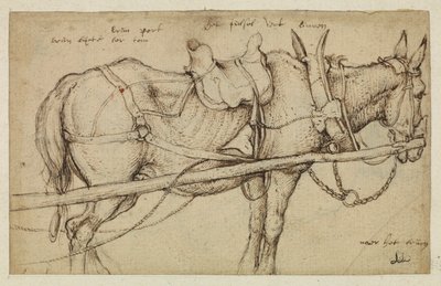 Muldyr i sele av Roelandt Jacobsz. Savery