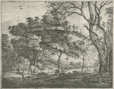 Hjort i Haagskogen av Roelant Roghman