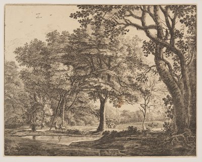  av Roelant Roghman