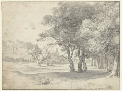 Utsikt i Haagse Bos, med Grote Kerk, Haag, i det fjerne av Roelant Roghman