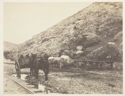  av Roger Fenton