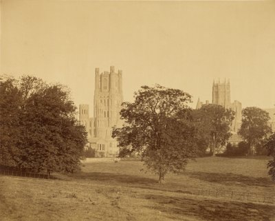 Ely-katedralen sett fra parken av Roger Fenton