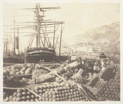  av Roger Fenton
