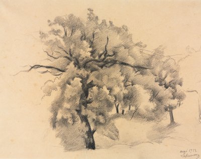 Studie av trær av Roger de La Fresnaye