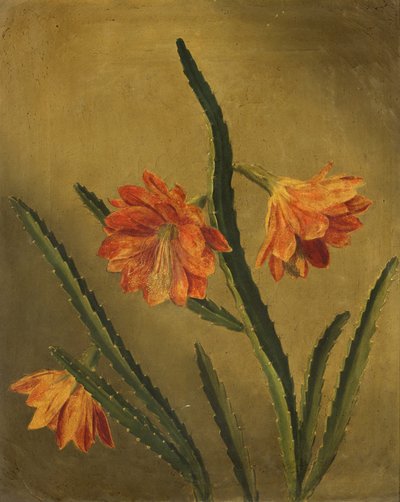 Study of Flowers (olje på lerret) av Rolinda Sharples
