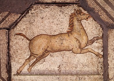 A Horse, detalj fra Orpheus Charming the Animals (mosaikk) av Roman