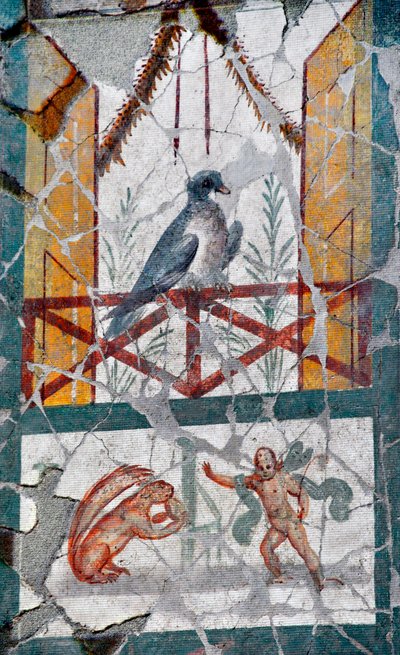 Under en fugl lagt på en balkong står en amour overfor et ekorn. Sent på 1. århundre (fresco) av Roman