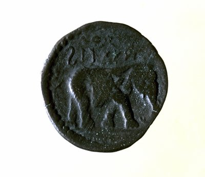 Kartago-mynt som representerer en elefant. 3. eller 2. århundre f.Kr. av Roman