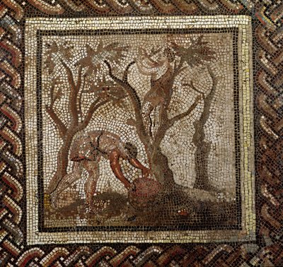 Høsting av druer, fra Saint-Romain-en-Gal (mosaikk) av Roman