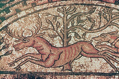 Hinton St. Mary fortau (detalj) ca. 350 e.Kr. (mosaikk) av Roman